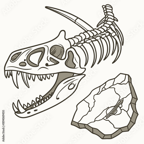 Museum style of ancient jaw fossil and dinosaur skeleton