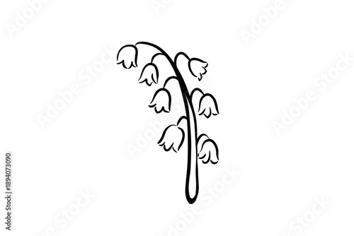 Bild auf Leinwand Spring hand drawn sketch of lily of the valley flower branch, simple black outli