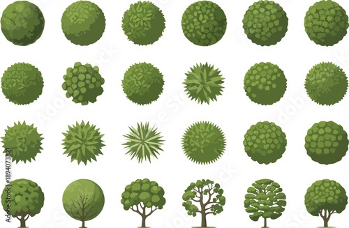 Top View Tree Vector Set Deciduous Trees for Landscape and Urban Planning
