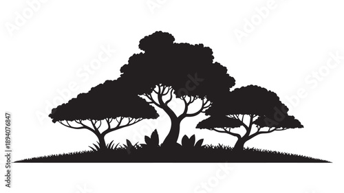 Acacia Tree Group Silhouette on African Savanna Horizon for Safari Travel Nature Conservation and Landscape Design Element