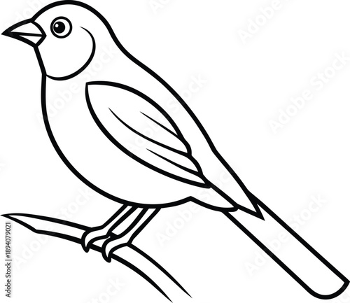  Bird on branch line art illustration 