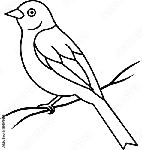  Bird on branch line art illustration 