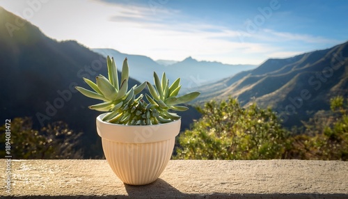 Succulent In A Light Cream Pot Outdoors Mountains In Background