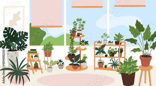 Interior of modern room with furniture, window and stands with indoor plants. Palm or succulent ficus in flowerpots. Houseplants on shelves. Decorative greenery. Vector apartment furnishing