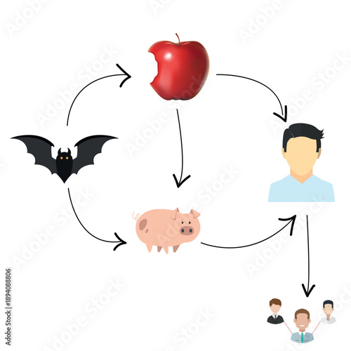 Nipah Virus Transmission Cycle Infographic Showing Zoonotic Spread from Bats to Pigs and Humans with Contaminated Food and Person to Person Infection Diagram