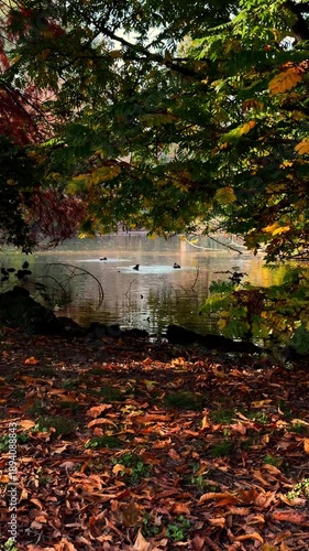Wallpaper Mural autumn in the park Torontodigital.ca