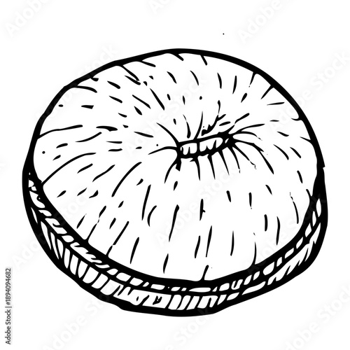 Peeled longan half fruit vector illustration isolated on a transparent background. Tropical fruit longan vector art.