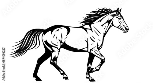Dynamic black and white illustration of a galloping horse representing freedom and power perfect for equestrian themes and sports