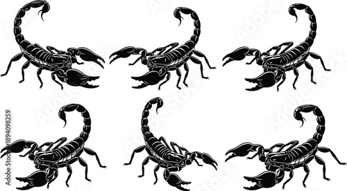 Scorpion silhouette collection featuring dangerous desert arachnids in aggressive poses isolated on white background black vector wildlife illustration set