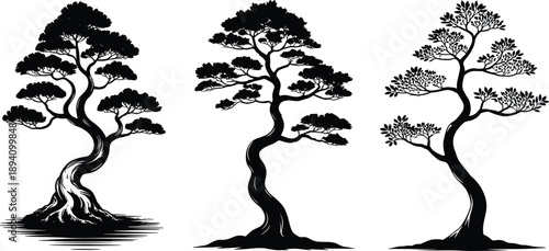 Black and white illustration of three stylized bonsai trees with unique trunk shapes and foliage, representing nature, art, balance, and traditional cultivation aesthetics.
