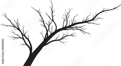 Bare tree branch silhouette against white background illustration