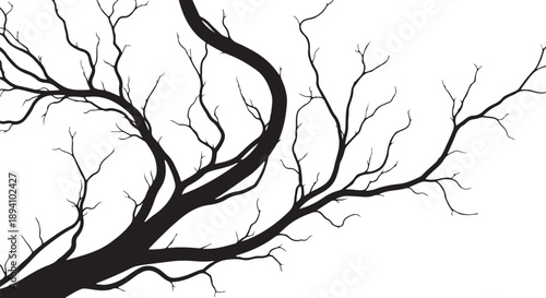 Black tree branches on white background minimalist illustration art