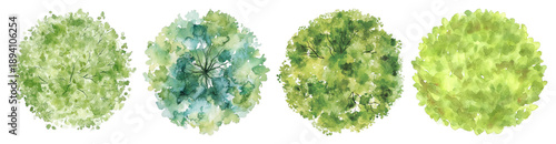 PNG Watercolor tree top view, element set on transparent background