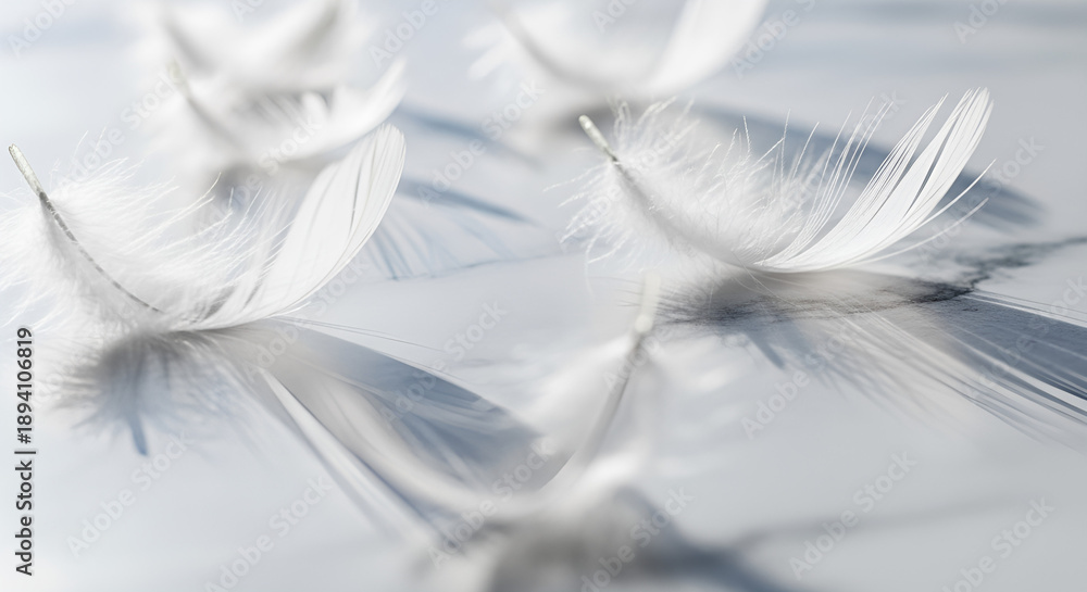 Obraz premium Delicate plumes and feather shadows gracefully settle on cool marble, evoking serene elegance and weightlessness in a cinematic close-up. Ideal for luxury branding, wellness, spa, mindfulness,