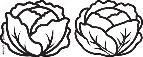 Two heads of cabbage, black and white outline illustration for healthy food, vegetables, and organic produce concepts