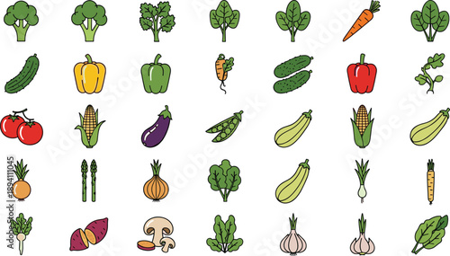 Colorful illustrations of various fresh vegetables and greens