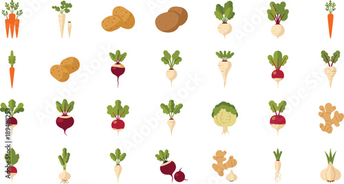 Variety of colorful root vegetables on white background
