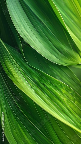 Wallpaper Mural Abstract Close-up of Lush, Vibrant Green Tropical Leaves with Parallel Veins Torontodigital.ca