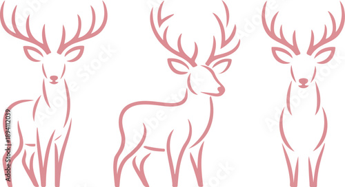 Elegant Deer Illustrations  Wildlife Design Elements