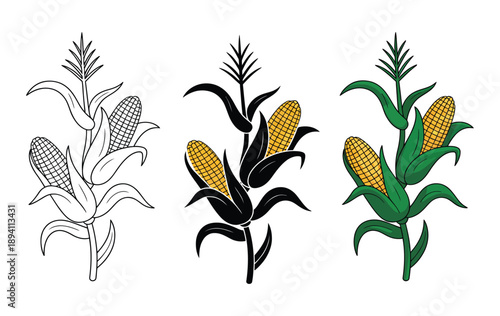 Cartoon corn stalk plant, playful clipart showing outline, silhouette and colorful versions, farm crop concept. vector