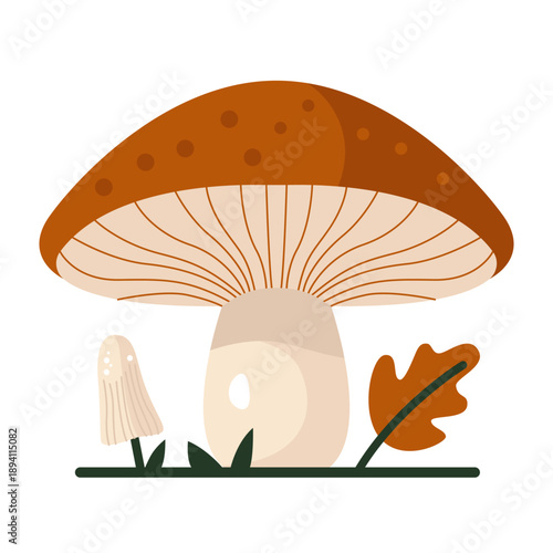 Boletus mushroom icon. Cartoon forest porcini fungi, colorful edible mushroom with brown cup in grass and leaves, autumn mushrooms harvest. Vector flat illustration