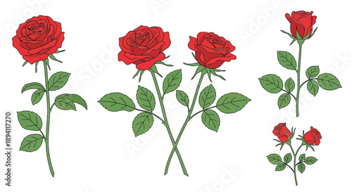 A collection of vibrant red roses with green stems and leaves