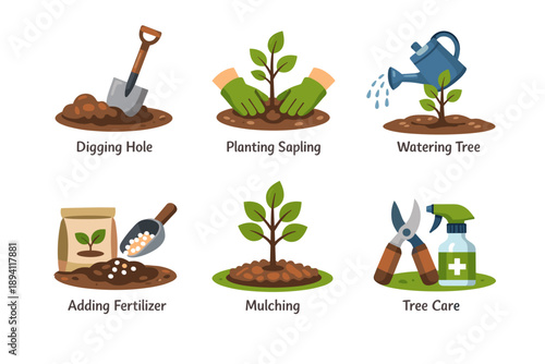 Gardening steps: planting, watering, fertilizing, mulching, tree care guide