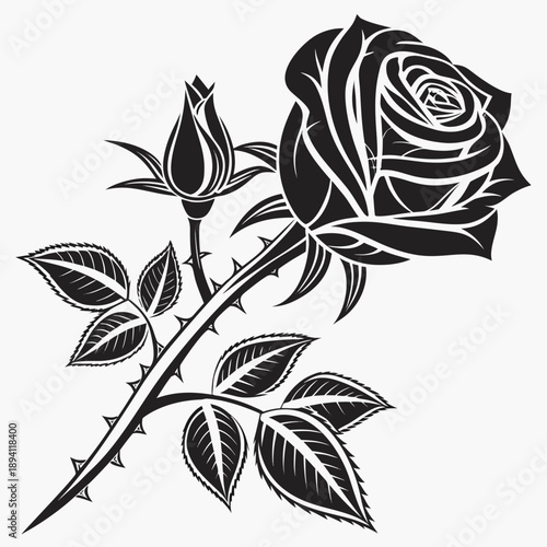 Single Rose Flower Illustration in Vintage Style