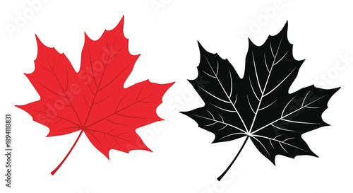 Two maple leaves one red and one black displayed side by side