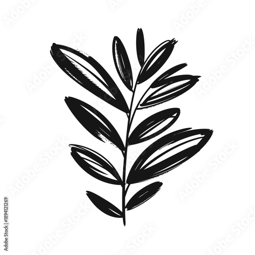 A simple black and white illustration of a leafy branch with elongated leaves