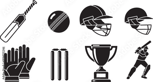Cricket equipment and trophy
