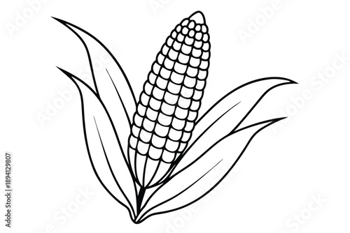 corn silhouette line art vector illustration with a white background