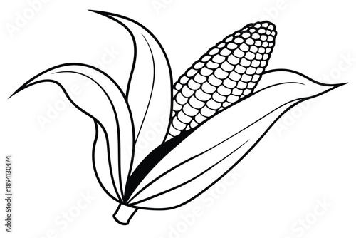 corn silhouette line art vector illustration with a white background