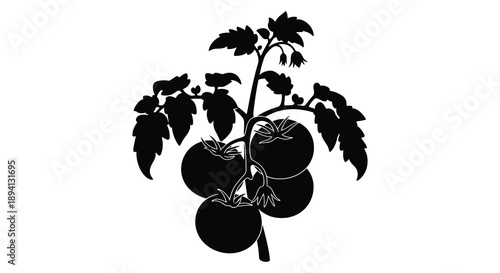 A striking black silhouette depicts a tomato plant with ripe fruit and lush foliage creating a bold visual statement silhouette