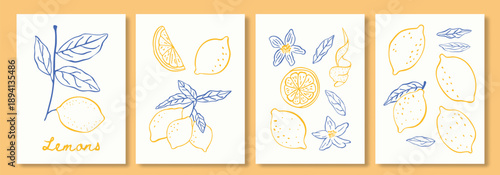 Abstract poster citrus fruits illustration set with hand drawn lemon, leaves, flowers. Minimalist line art in italian summer vacation. Contemporary elegant design for posters,cards,menus,cover, banner