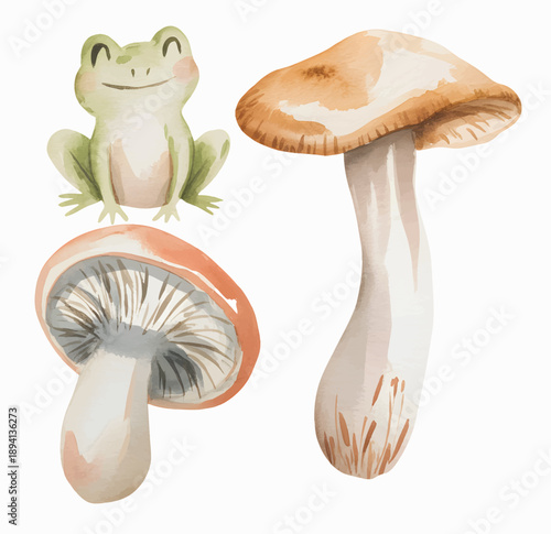 Cute smiling frog and forest mushrooms in gentle storybook watercolor art.