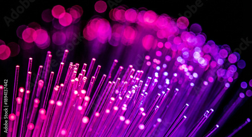 Illuminated Fiber Optic Cables Glowing in Pink and Purple Against Black Background