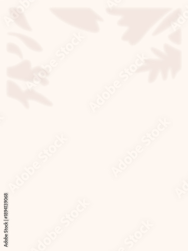 Minimal Cream Background with Soft Botanical Shadows