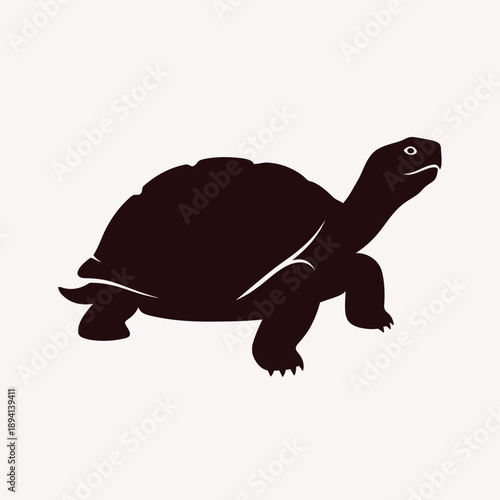 Dark silhouette illustration of a tortoise or turtle with a hard shell walking