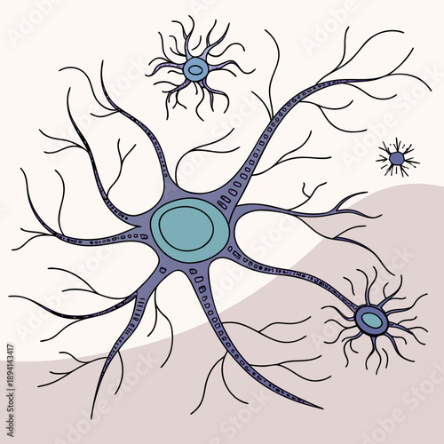 Neural Network Nervous System Signal Transmission Vector