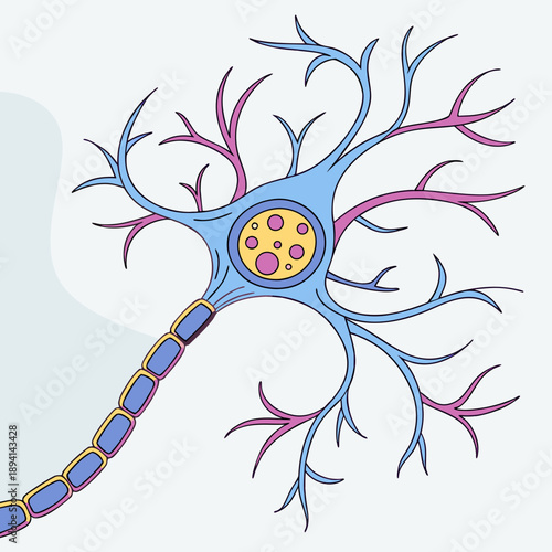 Detailed Neuron Cell with Synapse Connections Scientific Biology Illustration