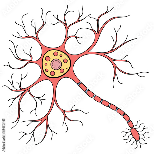 Advanced Neural Connections in a Neuron Cell - Biology Concept