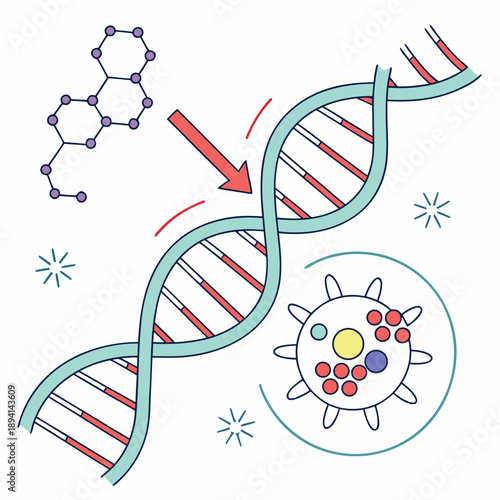 RNA Transcription Biological Process - DNA Genetic Gene Expression Concept