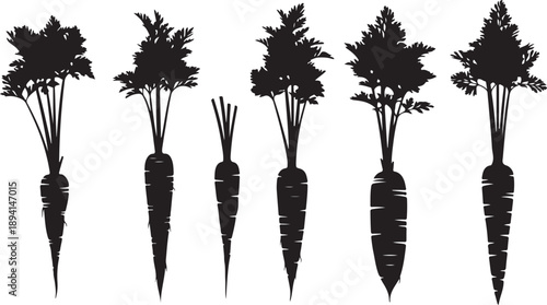 Black silhouette of six carrots with leafy greens on white background vegetable root vegetable