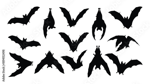 Collection of bat silhouettes Vector