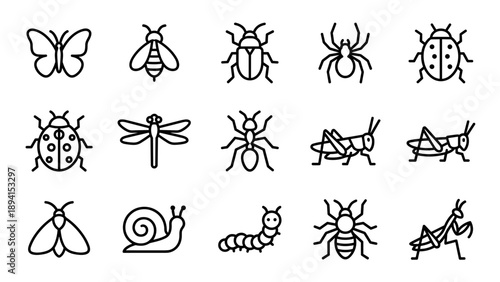 Set of 15 minimalist insect and bug line icons featuring a butterfly, bee, beetle, spider, ladybug, dragonfly, ant, grasshopper, moth, snail, caterpillar, and praying mantis in a clean vector style.
