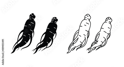 Four ginseng roots displayed in black and white detailed silhouette