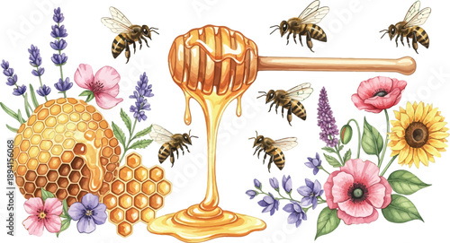 Honey collection with beehive, honey dipper dripping, various bees, and wildflowers including lavender, poppies, and sunflowers. transparent background vector illustration