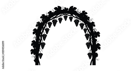 Arched grapevine with bunches of grapes a striking silhouette