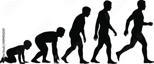 Human Growth Silhouette Sequence – Crawling to Walking Progression for Educational, Biological, and Developmental Illustration of Physical Maturity and Evolutionary Stages